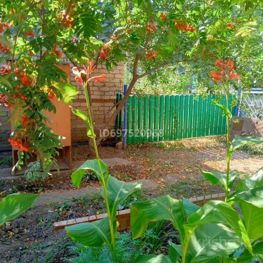 Продам дачу, на высоком берегу реки Чаган