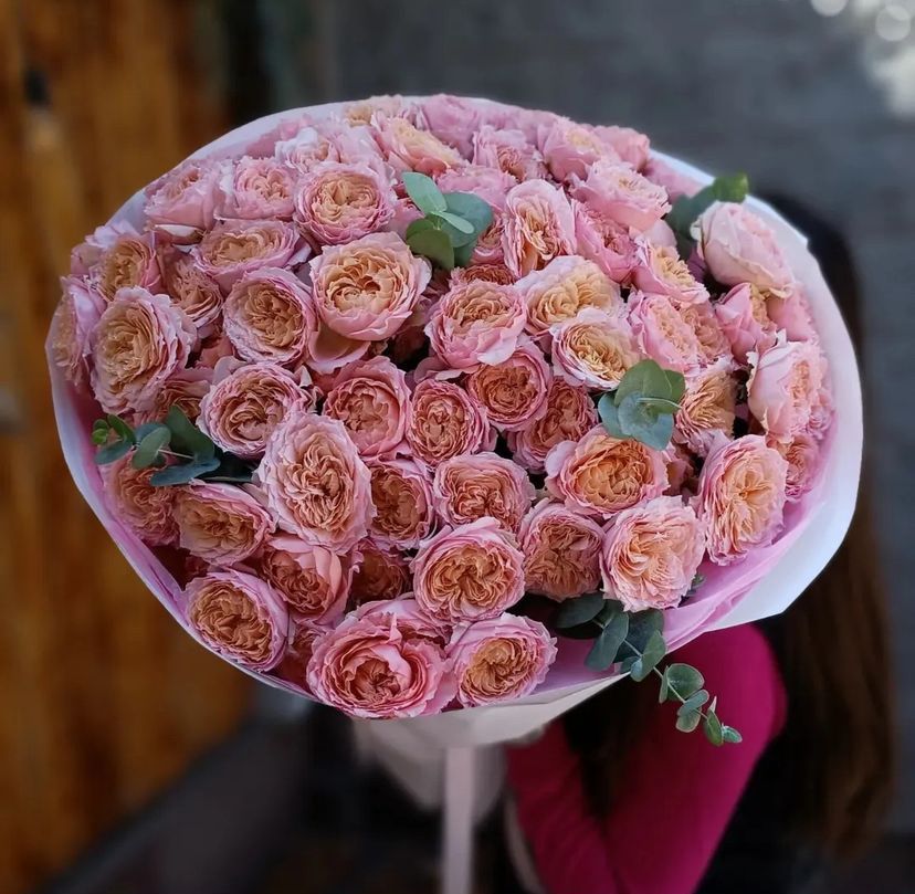 Пионы розы Голландские