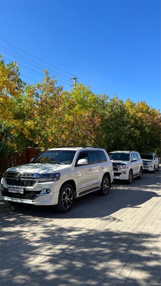 Трансфер Аренда Авто Авто Прокат с водителем Гулянка Свадьба Кортеж
