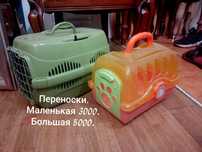 Переносить котенка или щенка