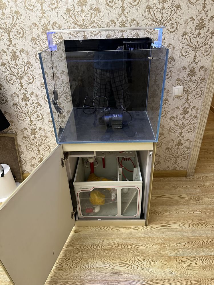 Заводской морской аквариум Neptunian Cube