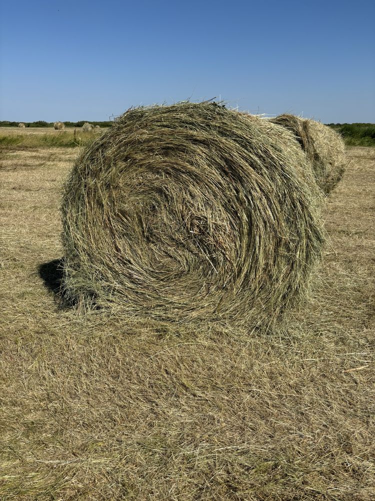 Сено луговое в рулонах