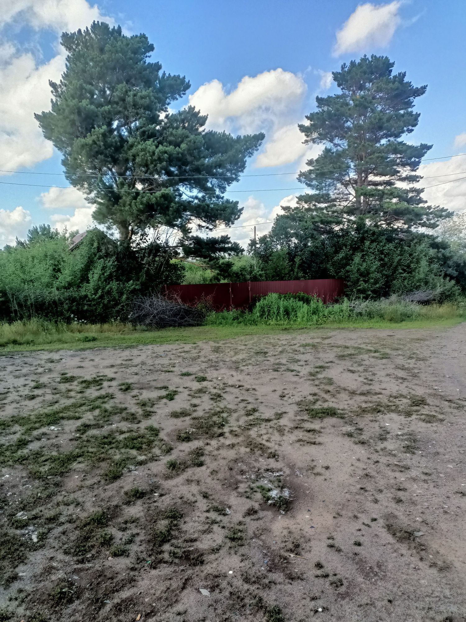 Дача пионер лагеря
