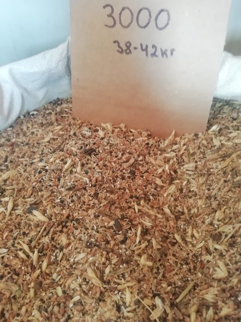 Продам зерноотходы пшеничные