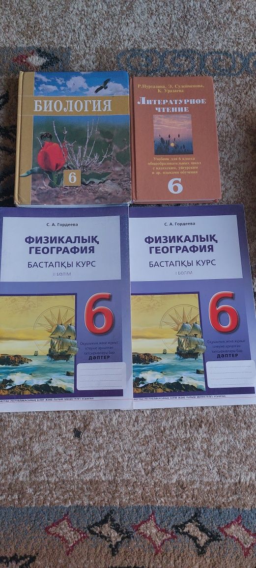 Учебники в хорошем состоянии.