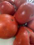 Домашние помидоры продам