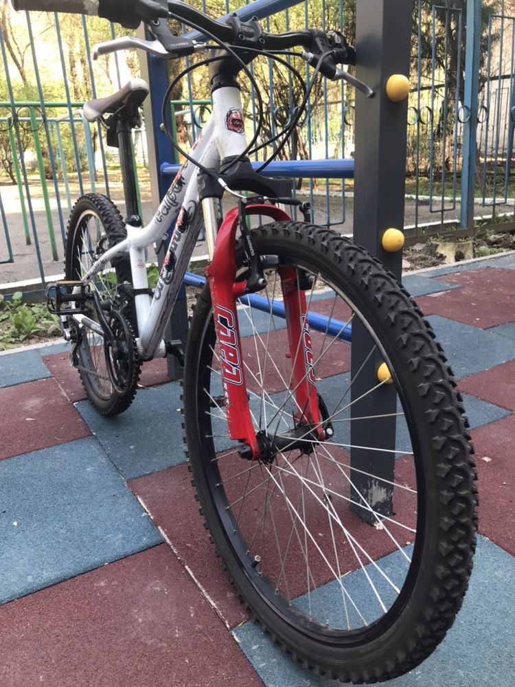 Велосипед author (cube specialized giant s-works Cannondale)