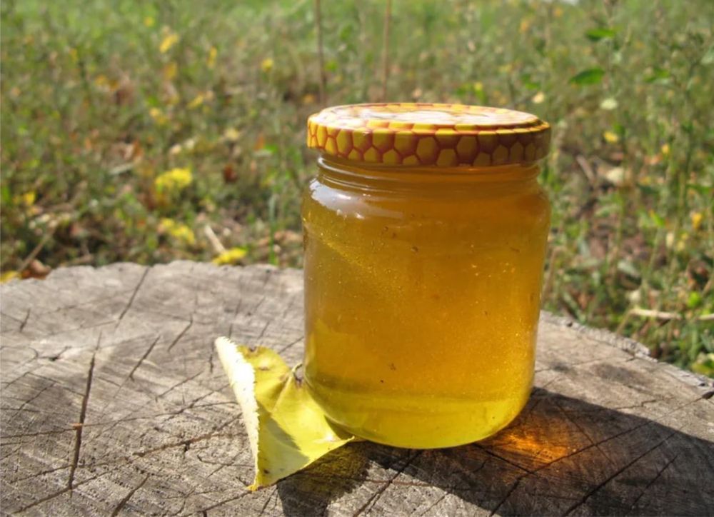 Продам домашний мёд