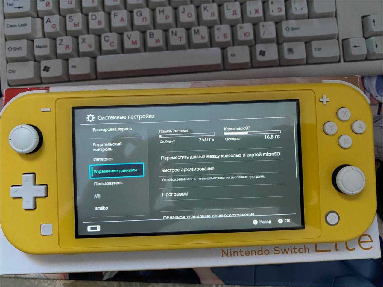 Nintendo switch lite