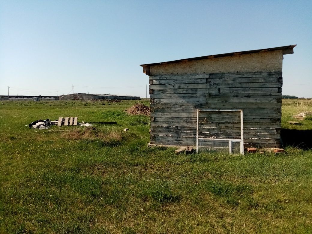 продам или обменяю  на машину крс мрс лошадей  земельный участок