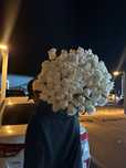 Галанский гул 9дан кейін шығарылған гүл august flowersтан алынған гүл