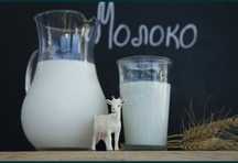 Ешкі сүті қозы молоко