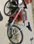 Фикс , fixed gear