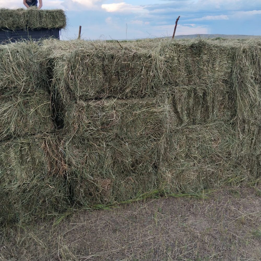 Продается сено в тюках, 900 тенге