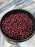 Продам вишню, 5 л 3000