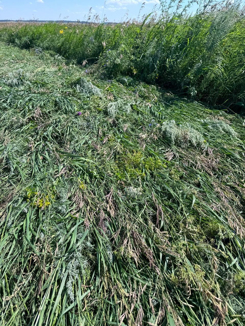 Земля, Ферма ТОО продам!