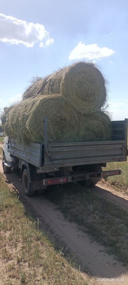 Продам сено житняк свежый 2024года