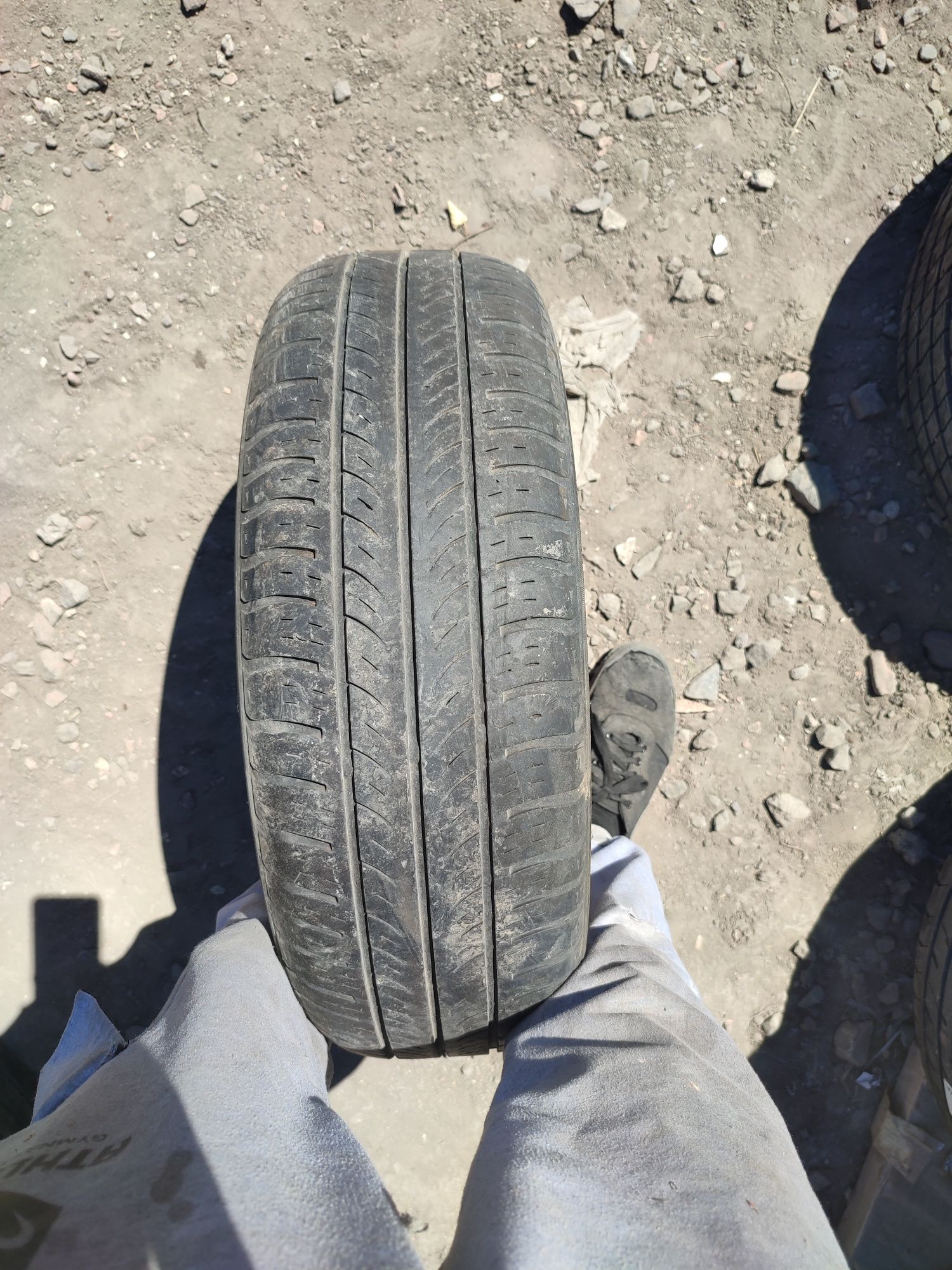 Шина безккмерка  размер  185/65 R14