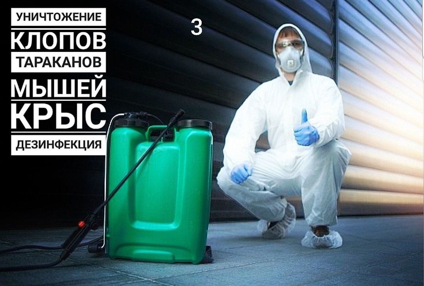 Уничтожение клопов/клопы, тараканов/тараканы, грызунов.