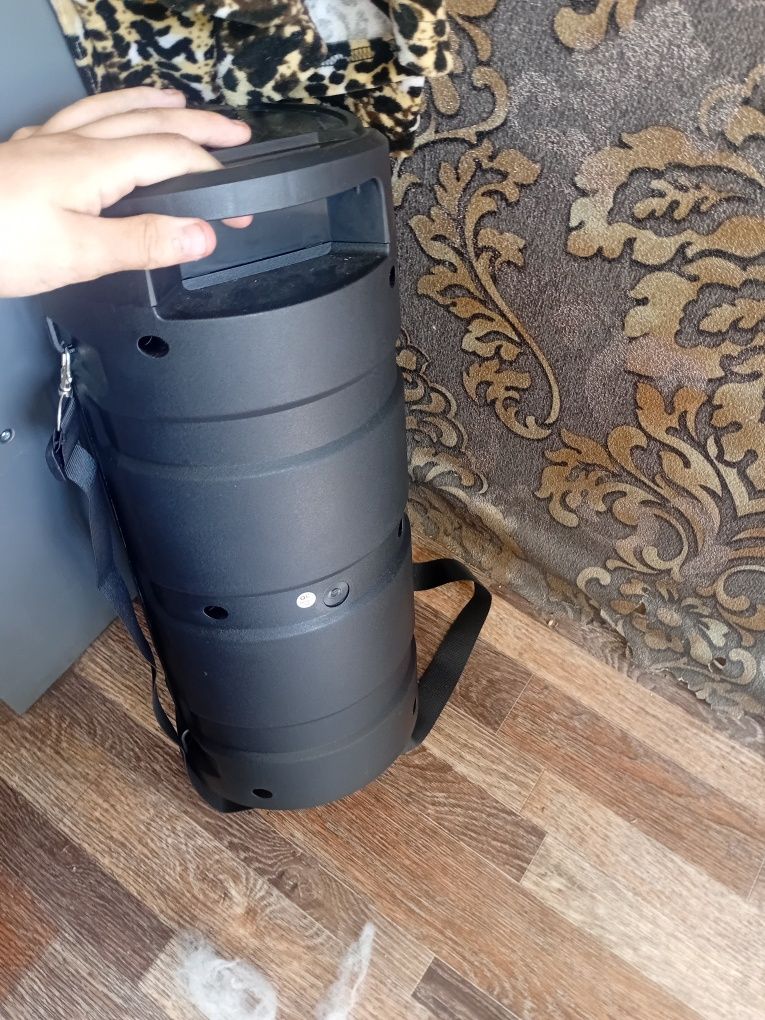Колонка  ZQS4239