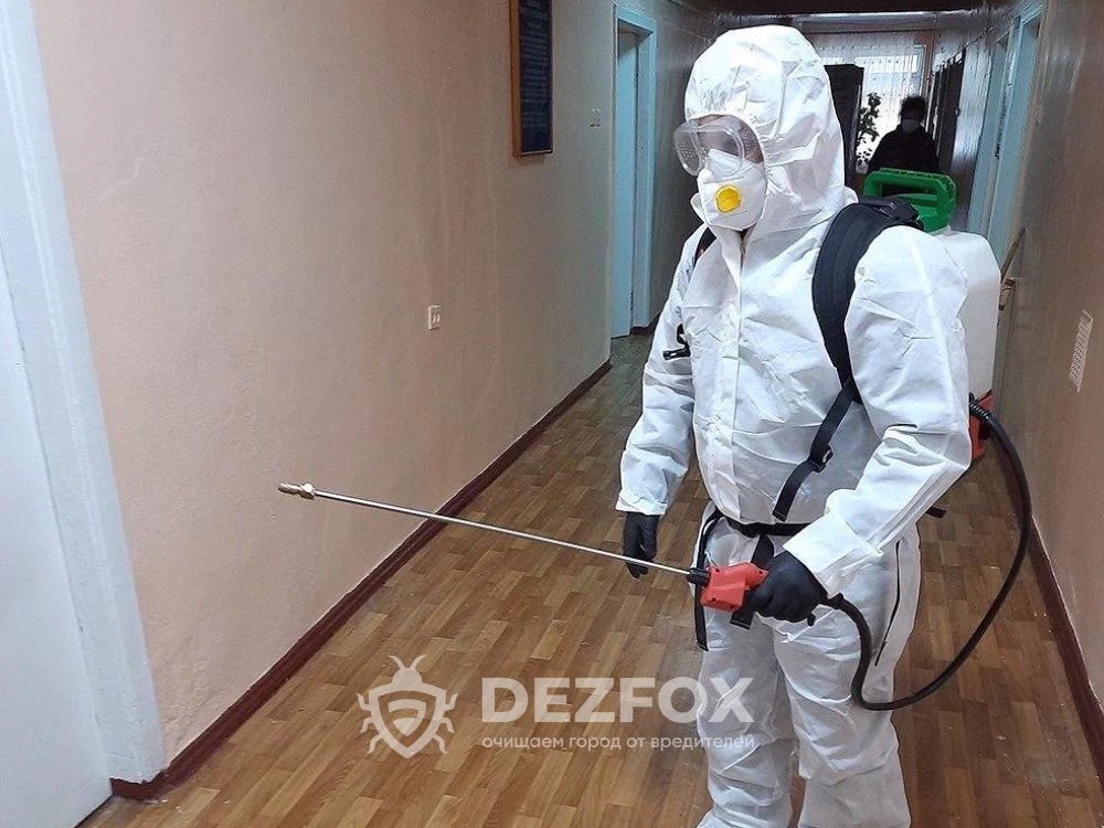 Дезинфексия Уничтожение Клопов Тараканов Крыс Мышей В Доме Кафе Скидка