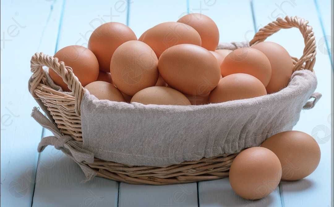 Яйца куриные домашние