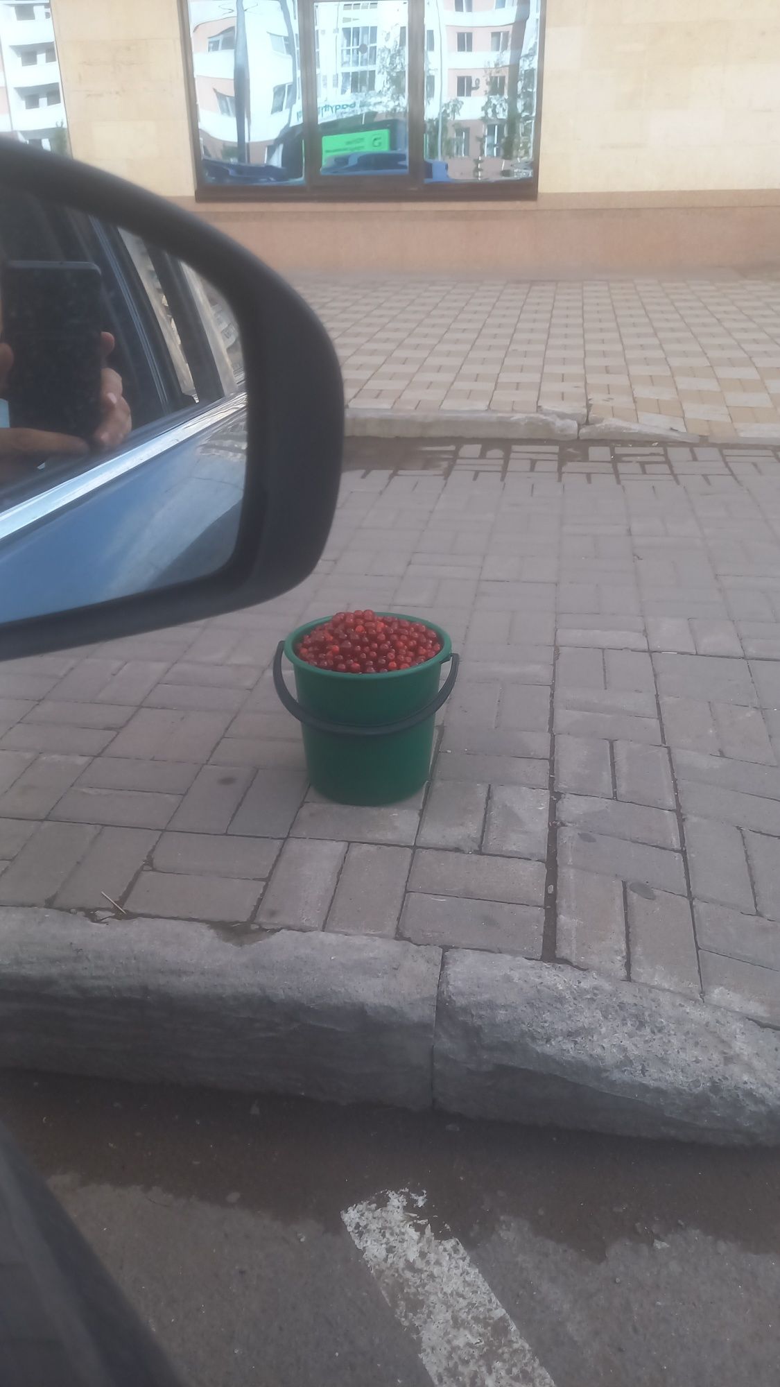 Вишня дачная местная