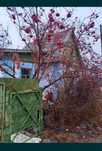 Продам дачу ( Зерендинские дачи) . 6 соток