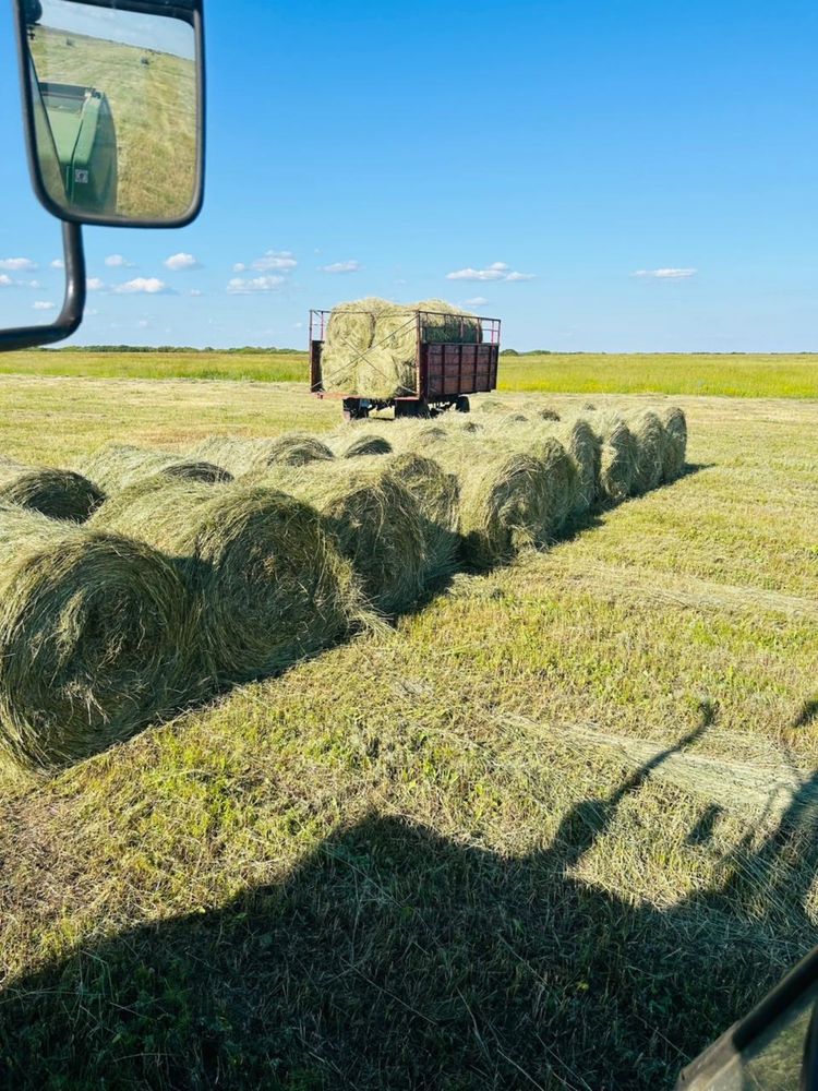 Продам сено в рулонах