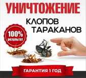 Дезинфекция Тараз