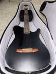 Ibanez TOD 10N с чехлом