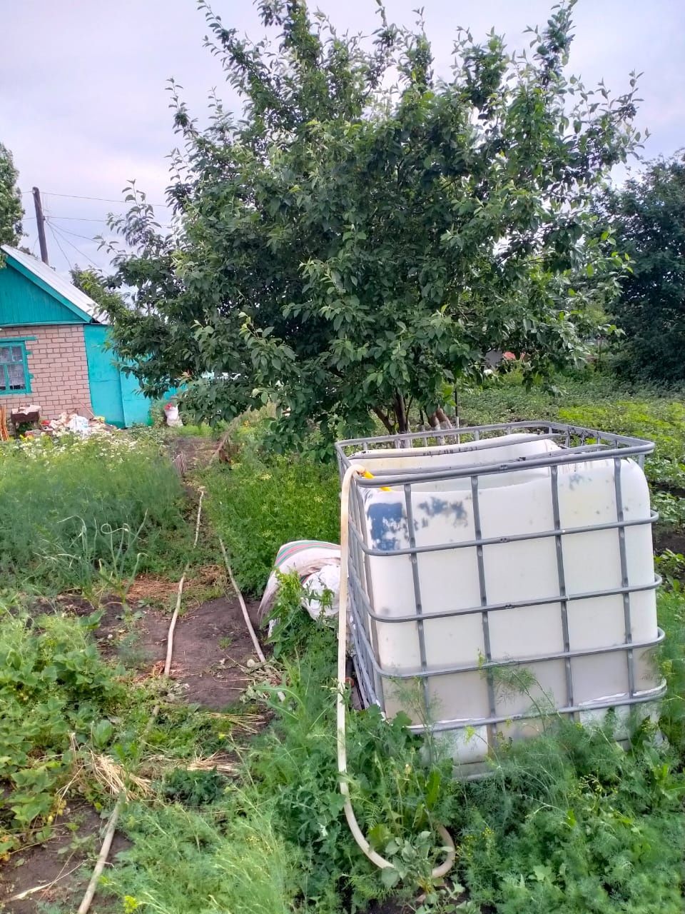 Продам дачу с/о Вишенка