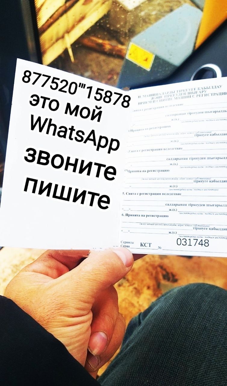 Бес сутты сиыр сату. F