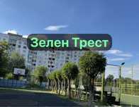 Спил обрезка деревьев