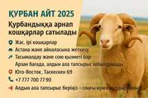 Қошқарлар Құрбан айтқа | Астанада жеткізу | 24/7 жұмыс