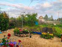 Продам дачу в дачном обществе дружба
