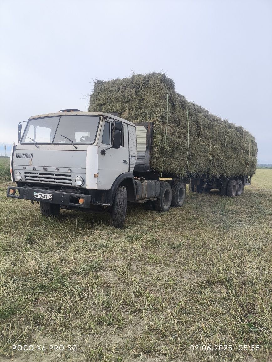Сено тюк люцерно