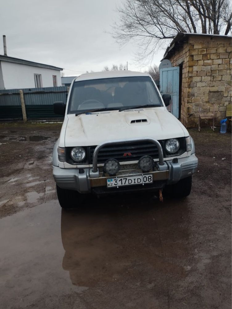 Пачеро каратыш