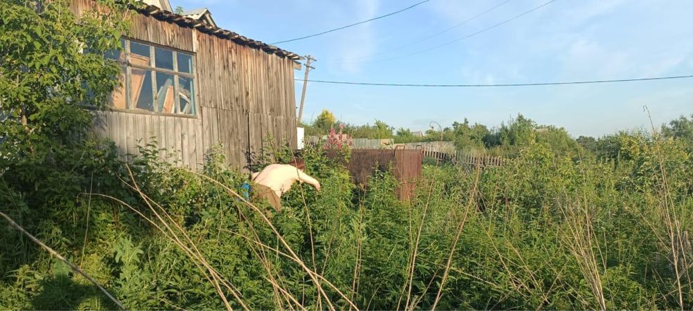 Продам дачу в садоводческом товариществе «Огонёк»