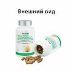 Кордицепс тяньши