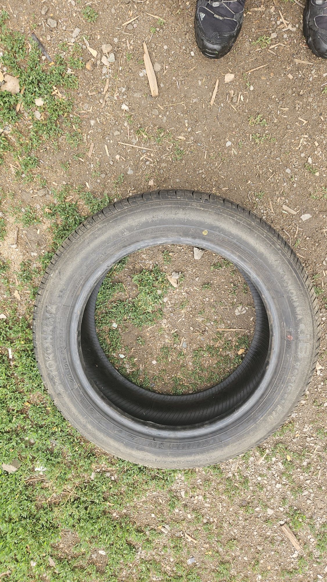 шины 215 /55 R17