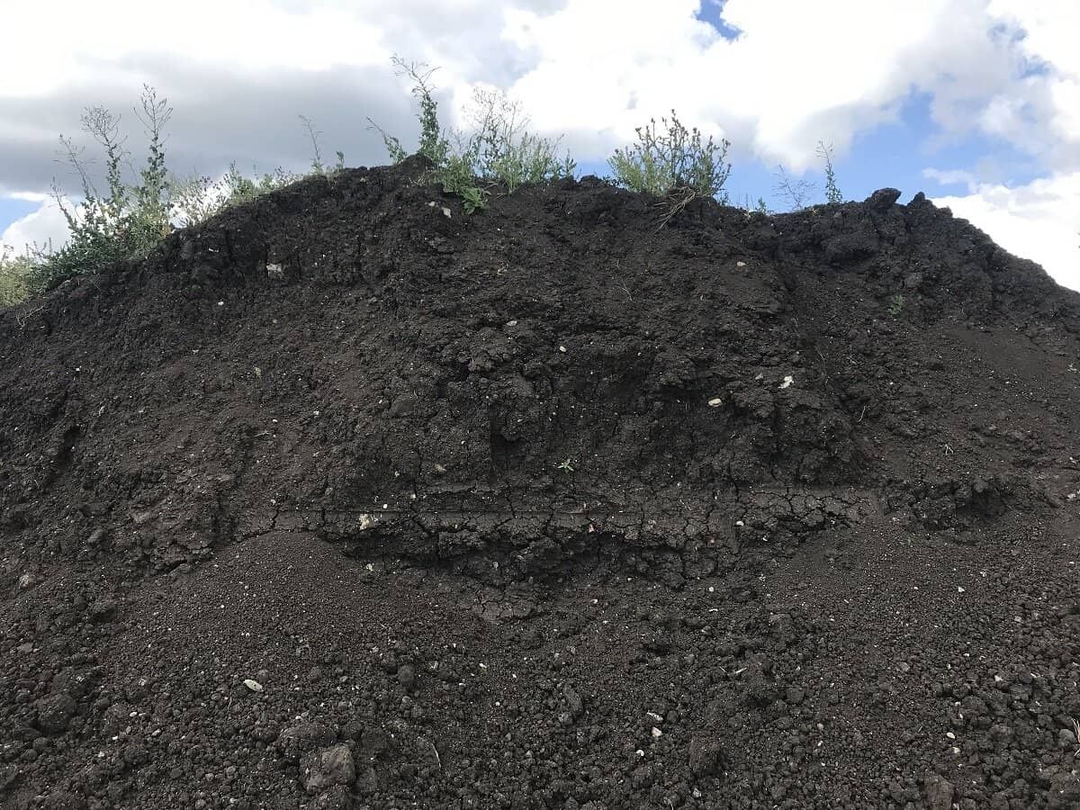 Чернозем (плодородная почва, не навоз).
