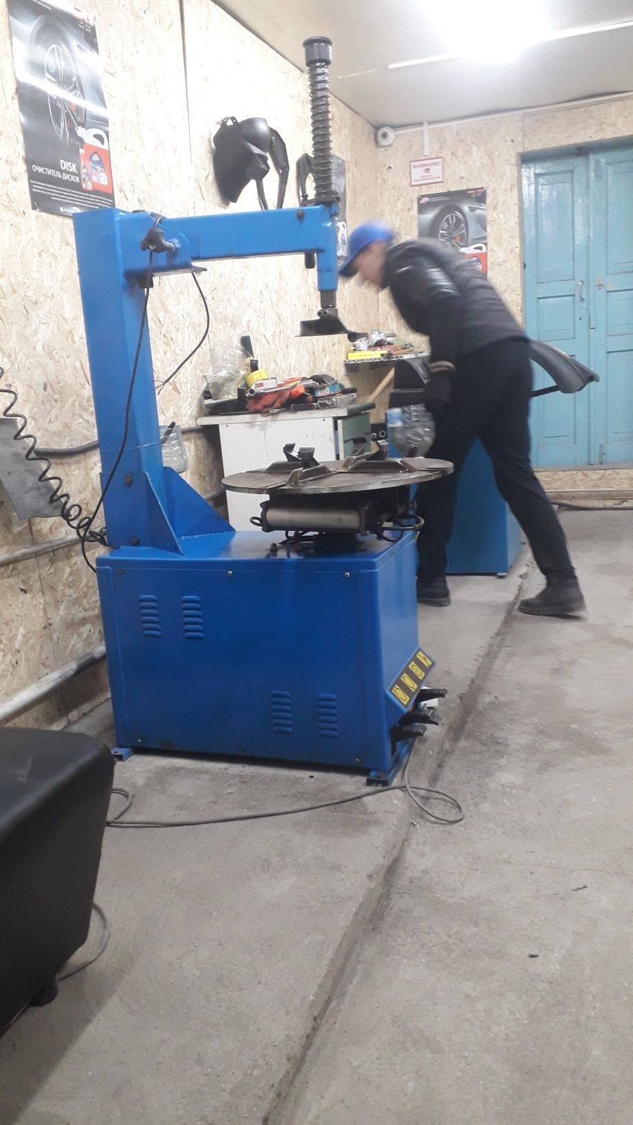 Айгыр Кокпар торт жас