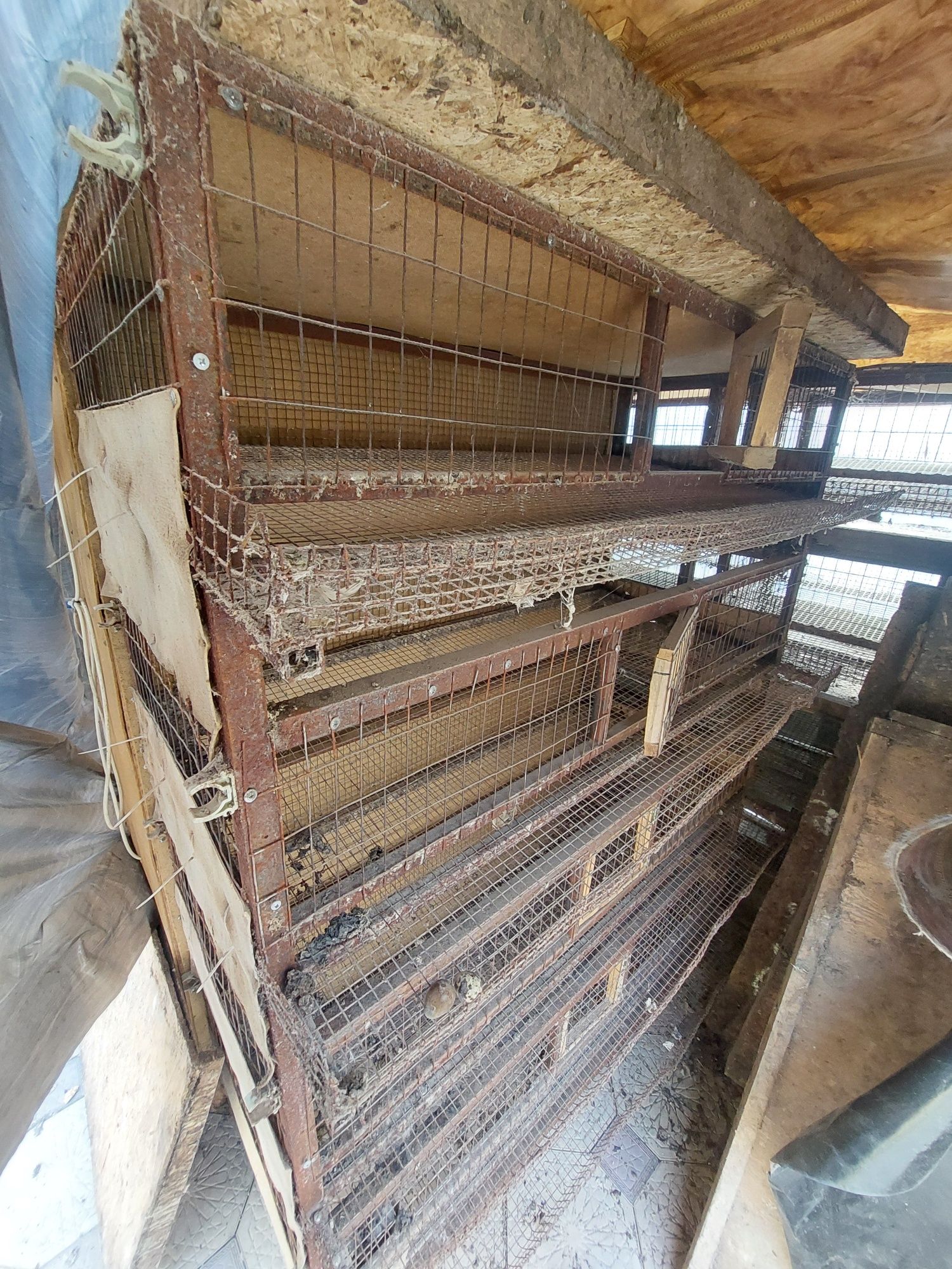 Клетки и будет для цыплят и перепела