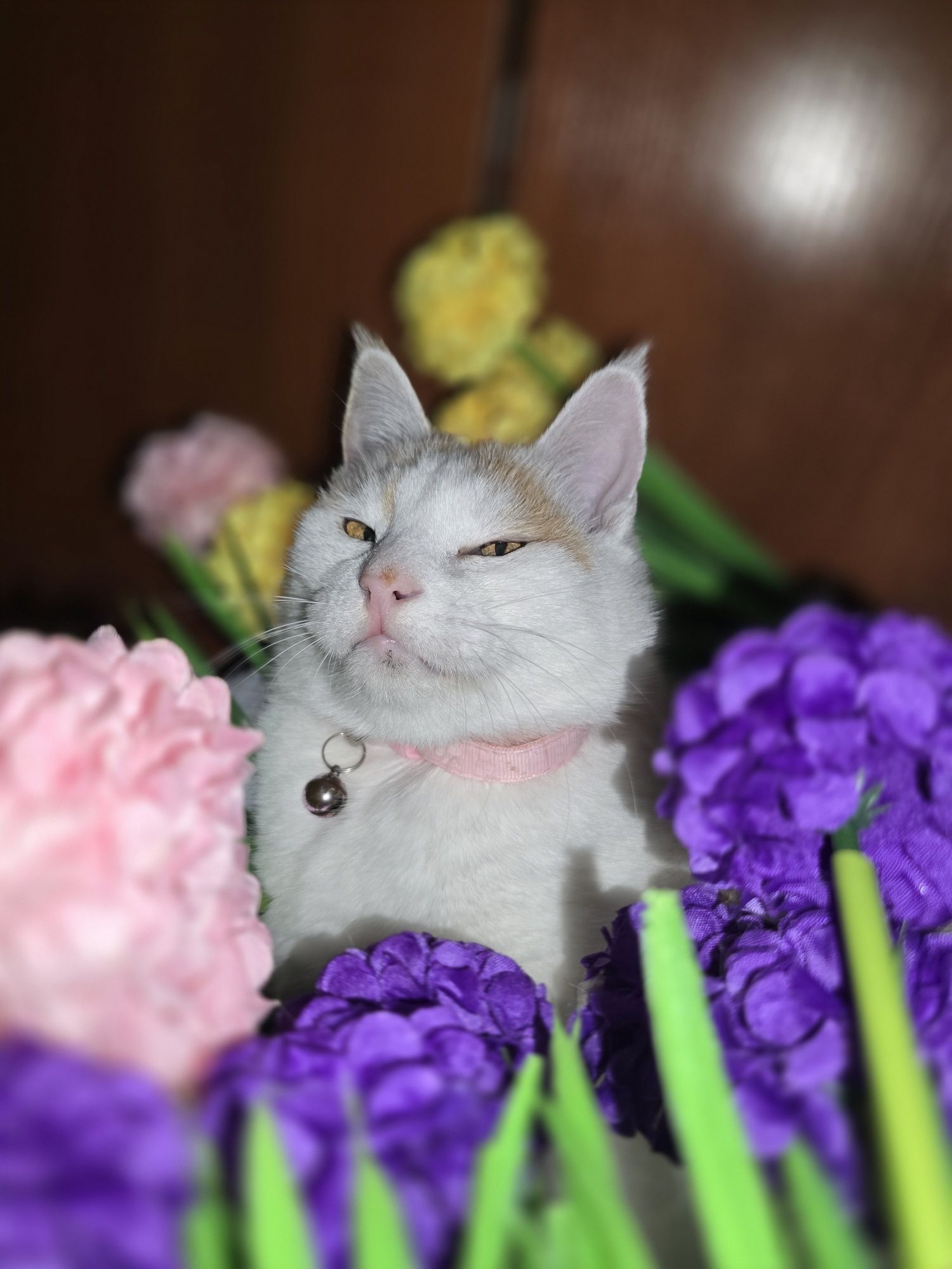 Красивая девочка. Снежана