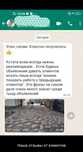 Качественная Укладка Брусчатки и Тротуарной плитки в сжатые сроки