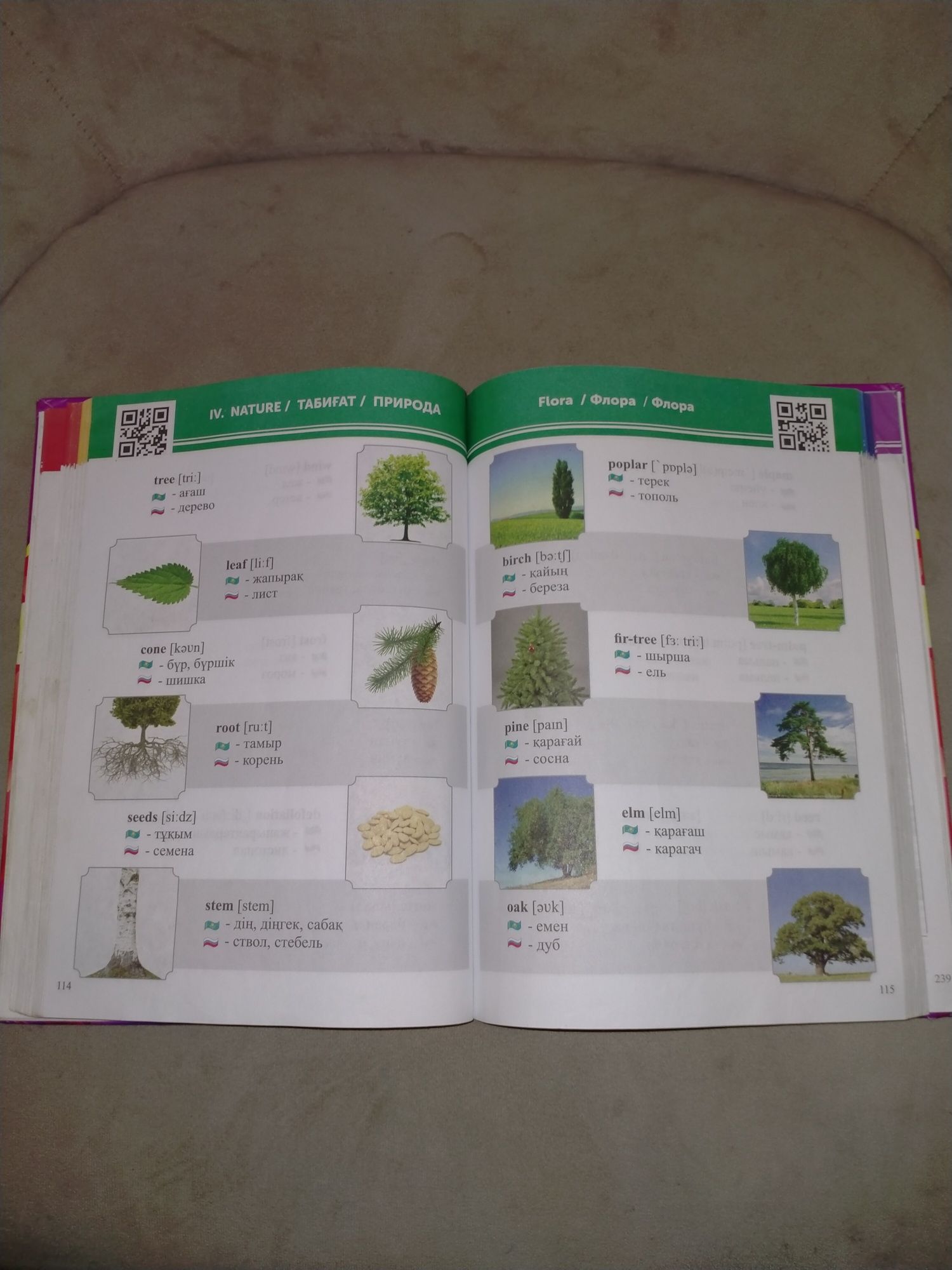Книга чтобы научиться английскому языку