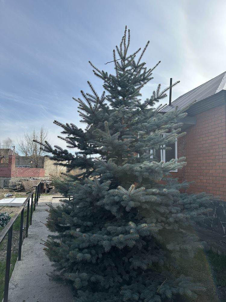 Срочно продам  частный дом в Ахмерова  26 сот