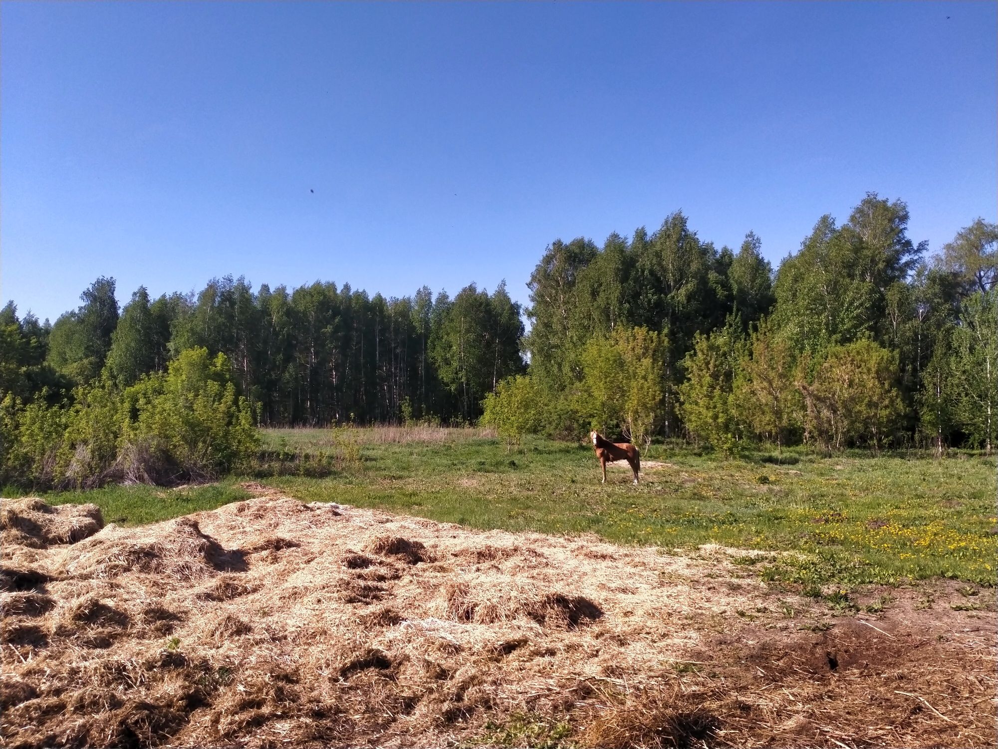 Продам крестьянское хозяйство, фазенда, усадьба. п. Белоусовка.