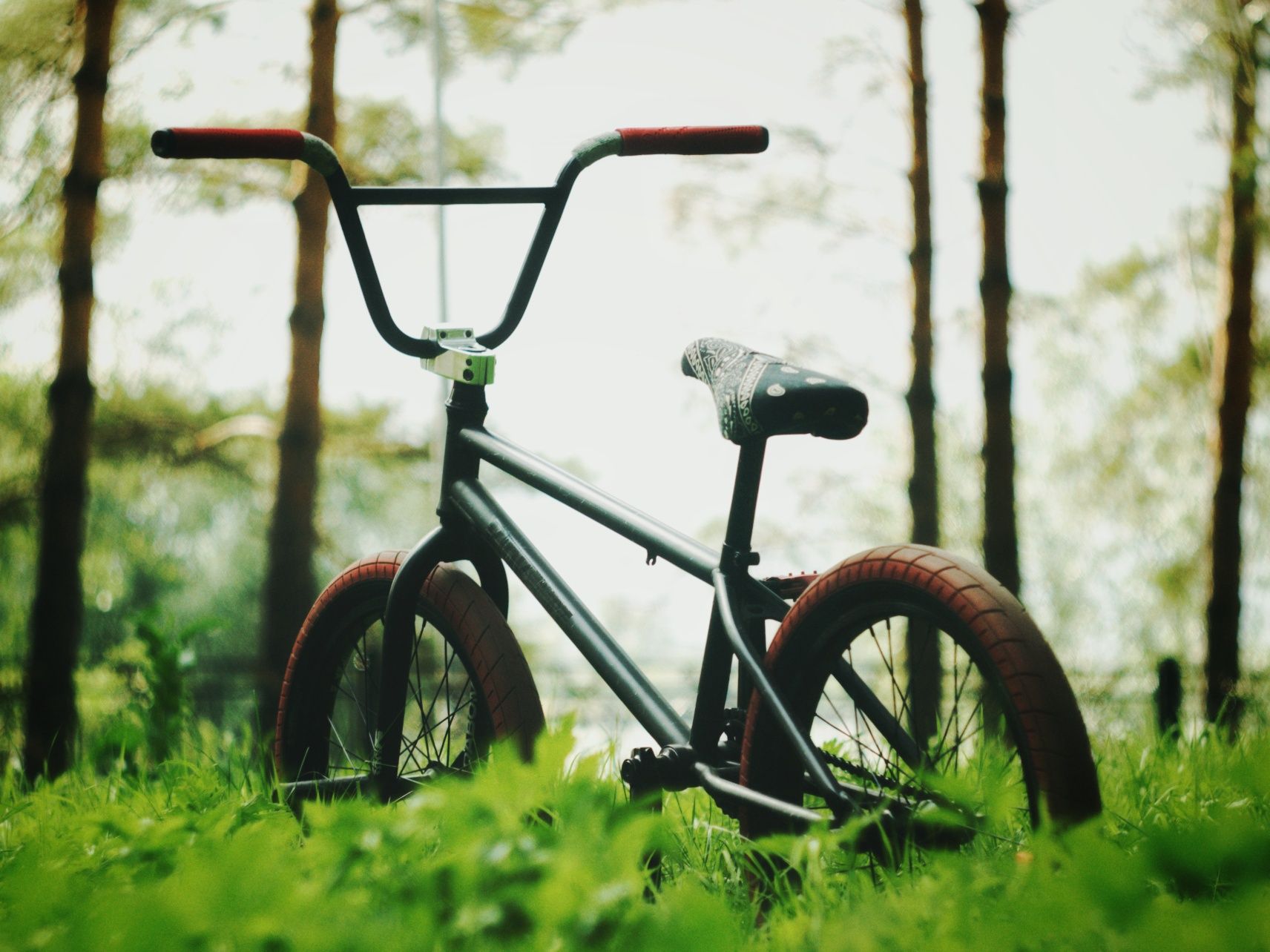 BMX custom 21рама